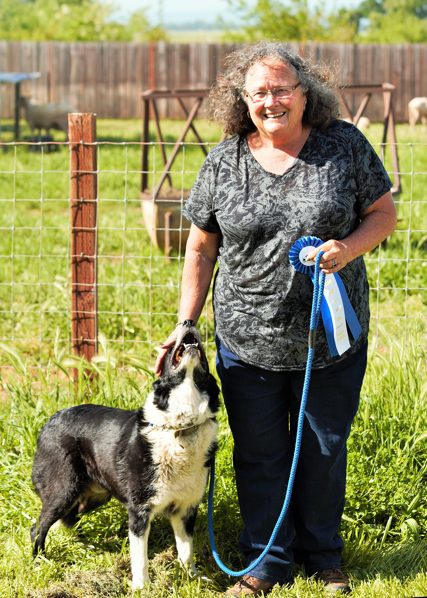 2019 Tango Farms Sheep Dog Trial Open Winners